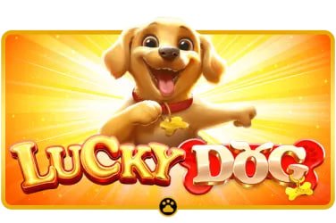cx casino